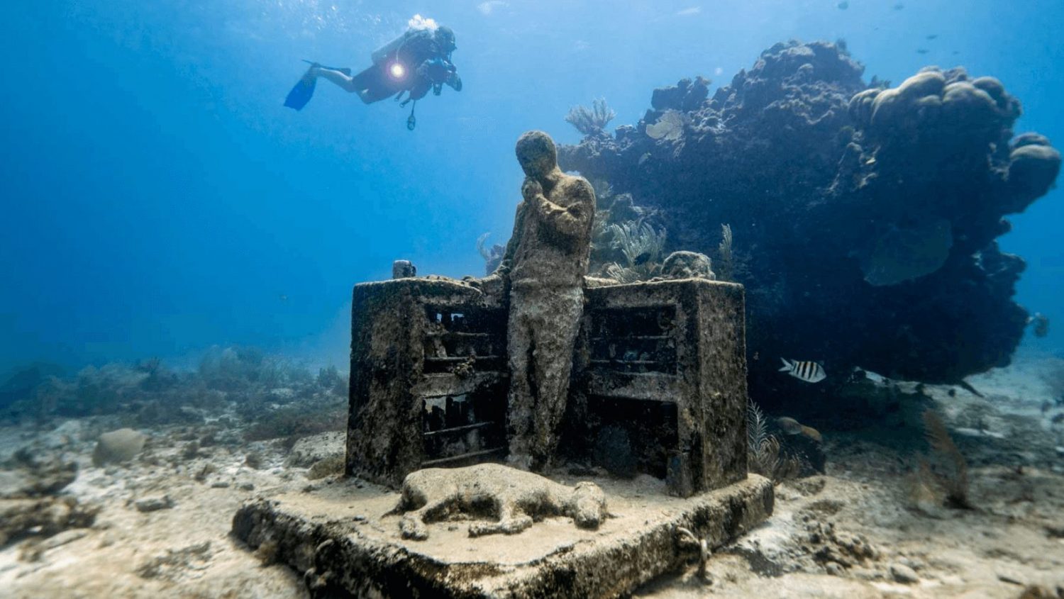 An Underwater Exhibition
